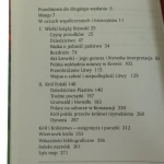 Władysław Jagiełło (4).JPG