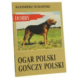 Ogar polski, gończy polski Kazimierz Ściesiński [1993]