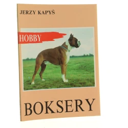 Boksery Jerzy Kapyś [1993]