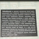 mahabharata (2).JPG