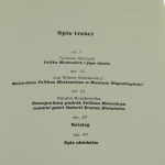impresje malarskie (2).JPG