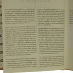 mok (2).JPG
