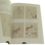 illustrator dali (6).JPG