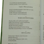 wybór pism estetycznych (3).JPG