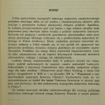 malarstwo ludowe (3).JPG