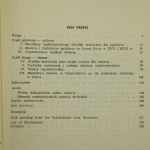 malarstwo ludowe (2).JPG