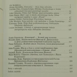 wizja (2).JPG