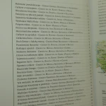 ikony i cerkwie (3).JPG