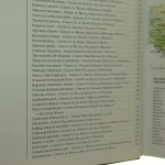 ikony i cerkwie (4).JPG