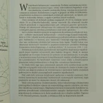 wodzowskie kurchany (3).JPG