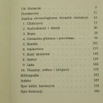 sztuak chińska (2).JPG