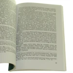 książę wiśniowiecki (4).JPG