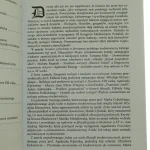 średniowieczna wizja (4).JPG