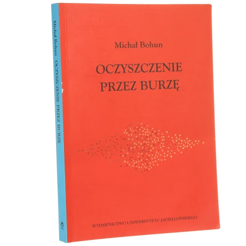 oczyszczenei przez burzę (1).JPG