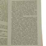 oni torańska (5).JPG