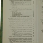 Świątynie postacie ikony (4).JPG