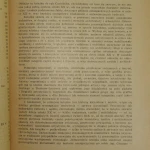 malarstwo rzeźba (5).JPG