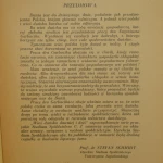 wieś (2).JPG