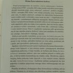 rosja i znaki lotman (3).JPG