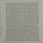 polityka religijna teoderyka wielkiego (4).JPG