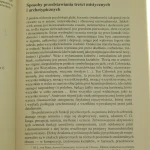 mistyczne i archetypiczne (3).JPG