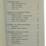patrząc na ikony (2).JPG