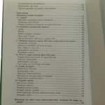 wielka wojna francuzów (6).JPG