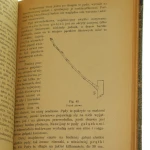 hodowla drzew (6).JPG