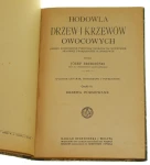 hodowla drzew (2).JPG