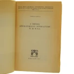u źródeł afrykańskiego separatyzmu (3).JPG