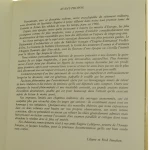 L uniforme et les armes des soldats de la chevalerie (3).JPG