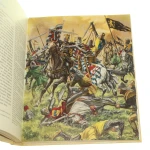L uniforme et les armes des soldats de la chevalerie (4).JPG