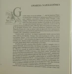 wojsko w służbie napoleona (3).JPG