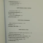 okno w żółci kadmowej (6).JPG