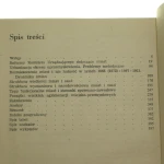 rozwój miast (3).JPG