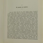 michał anioł (3).JPG