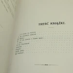michał anioł (5).JPG