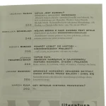 krytyka polityczna (7).JPG