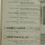 krytyka polityczna (9).JPG
