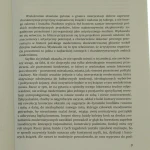cień modernizmu (3).JPG