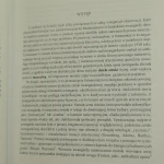awangarda (4).JPG