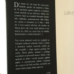 lubczyk (3).JPG