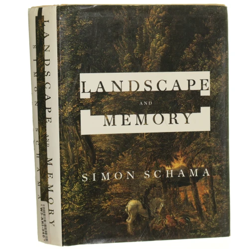 landscape memory (1).JPG