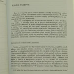 awangarda w perspektywie (4).JPG