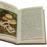 kieszonkowy atlas grzybów (6).JPG