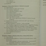 ekonomika kultury (4).JPG
