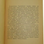 kształty polityki (2).JPG