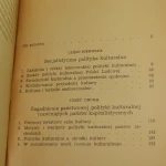 kształty polityki (3).JPG
