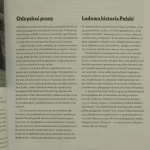 czas kultury (2).JPG