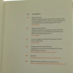 sztuka prl idzie na wolność (4).JPG